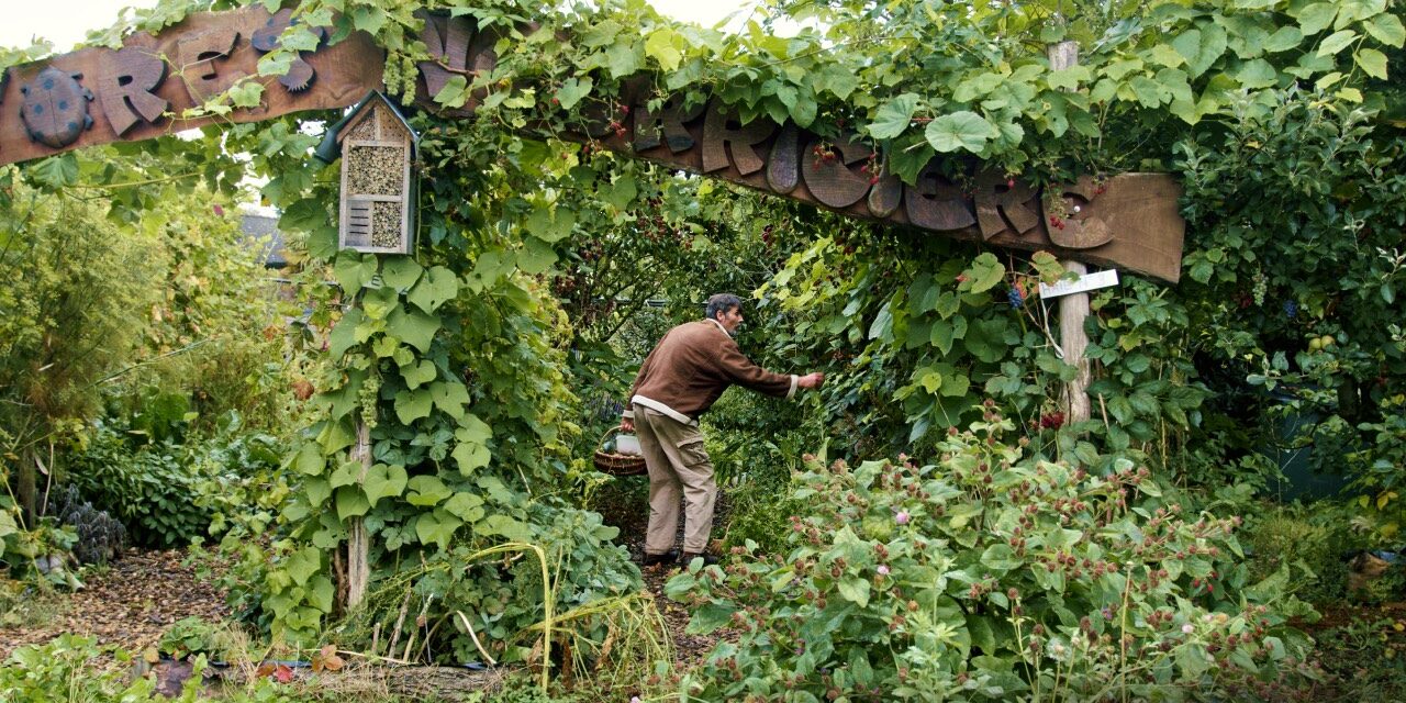 Calendrier à planter - jardin du temps