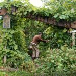 L’abondance d’un jardin-forêt.