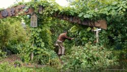 L’abondance d’un jardin-forêt.