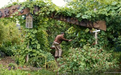 Quoi faire chaque mois dans un jardin-forêt productif ?