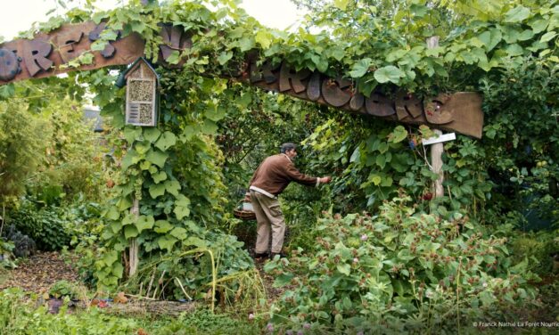 Quoi faire chaque mois dans un jardin-forêt productif ?