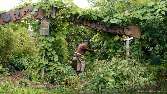 L’abondance d’un jardin-forêt.