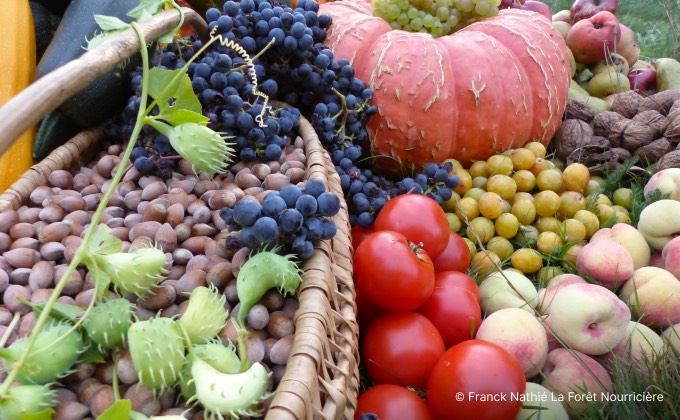 Fruits et légumes issus du jardin-forêt productif.