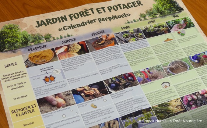 Calendrier des actions à faire chaque mois dans un jardin-forêt productif aussi appelé forêt-jardin ou forêt comestible.