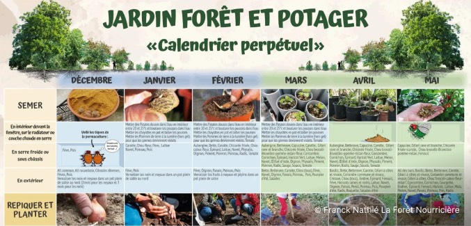 Calendrier perpétuel du jardin-forêt et du potager permacole.