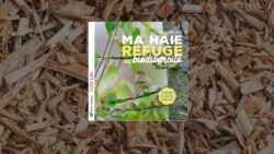 Livre Ma haie refuge de biodiversité : choisir, planter, observer de Gilles Leblais