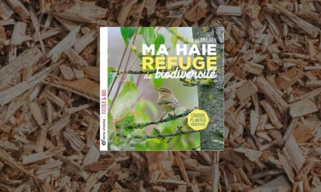 Livre Ma haie refuge de biodiversité : choisir, planter, observer