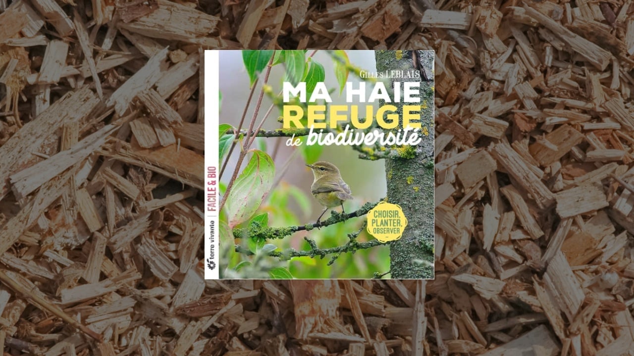 Livre Ma haie refuge de biodiversité : choisir, planter, observer de Gilles Leblais