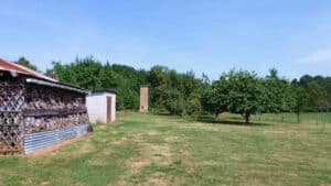 Jardin classique avant le projet en permaculture