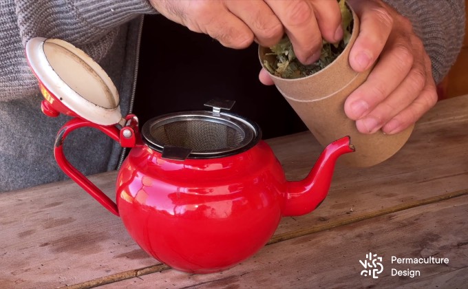 Préparation d’une tisane à base de plusieurs plantes médicinales séchées.