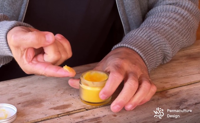 Baume fait maison à base de macérât huileux de plantes médicinales.