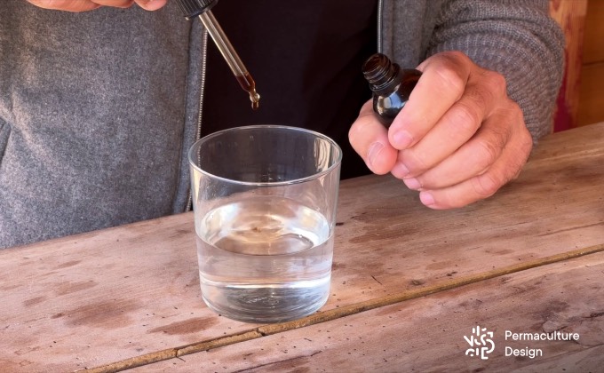 Utilisation d’une alcoolature de plantes médicinales en versant quelques gouttes dans un verre d’eau à boire.