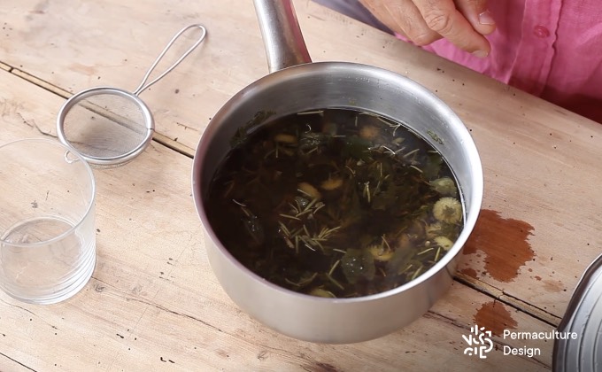 Tisane infusée composée de plusieurs plantes médicinales.