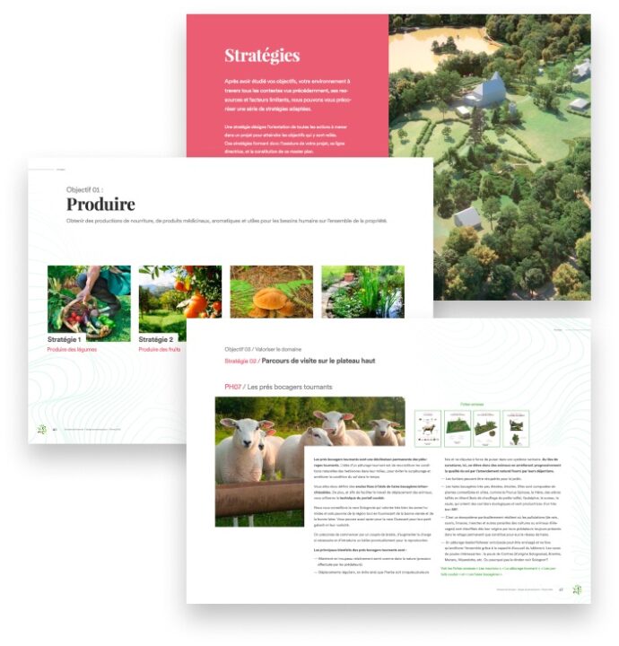 Extrait dossier design en permaculture paysagiste professionnel.