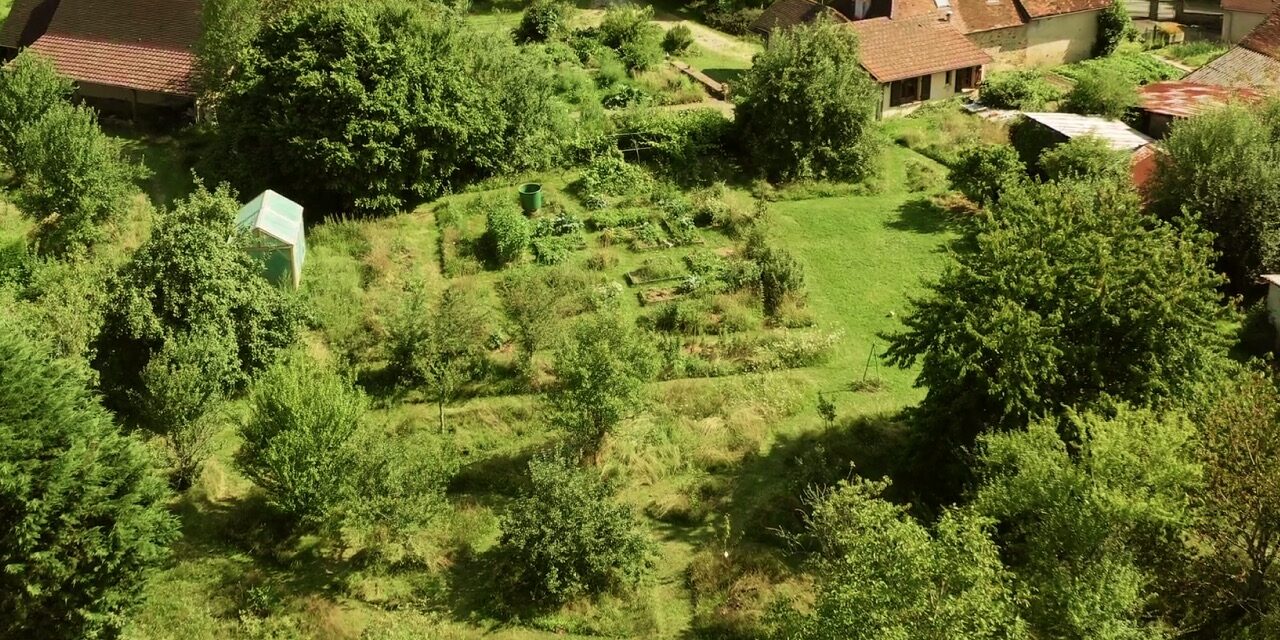 Comment évaluer la santé de mon sol pour un potager sain