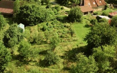 Comment faire un jardin en permaculture ? Les bases indispensables à connaître.