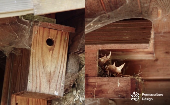 Nichoir La Cabane 28mm pour les oiseaux du jardin. Fabriqué en France.