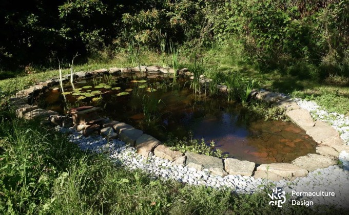 Aménagement des berges d’une mare naturelle avec de grosses pierres et des petits galets ronds.