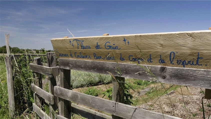 Leitmotiv des Fleurs de Gaïa peint sur une planche de bois accrochée au jardin : Allier bien-être du corps et de l’esprit avec les saveurs et les couleurs des plantes aromatiques et médicinales.