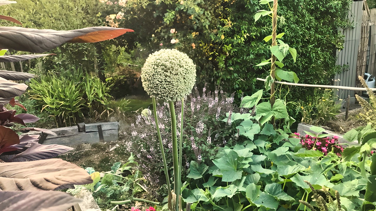 Creer-son-jardin-nourricier-01