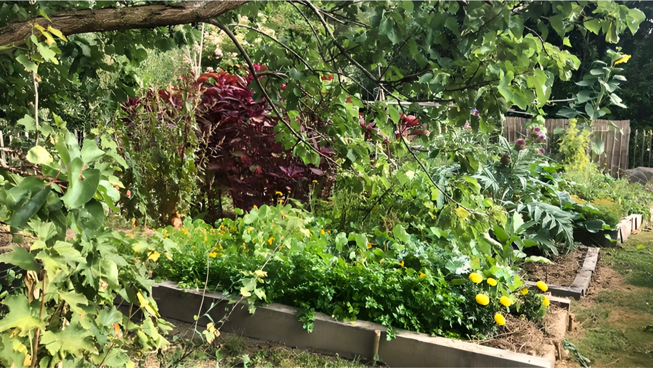 Creer-son-jardin-nourricier-02