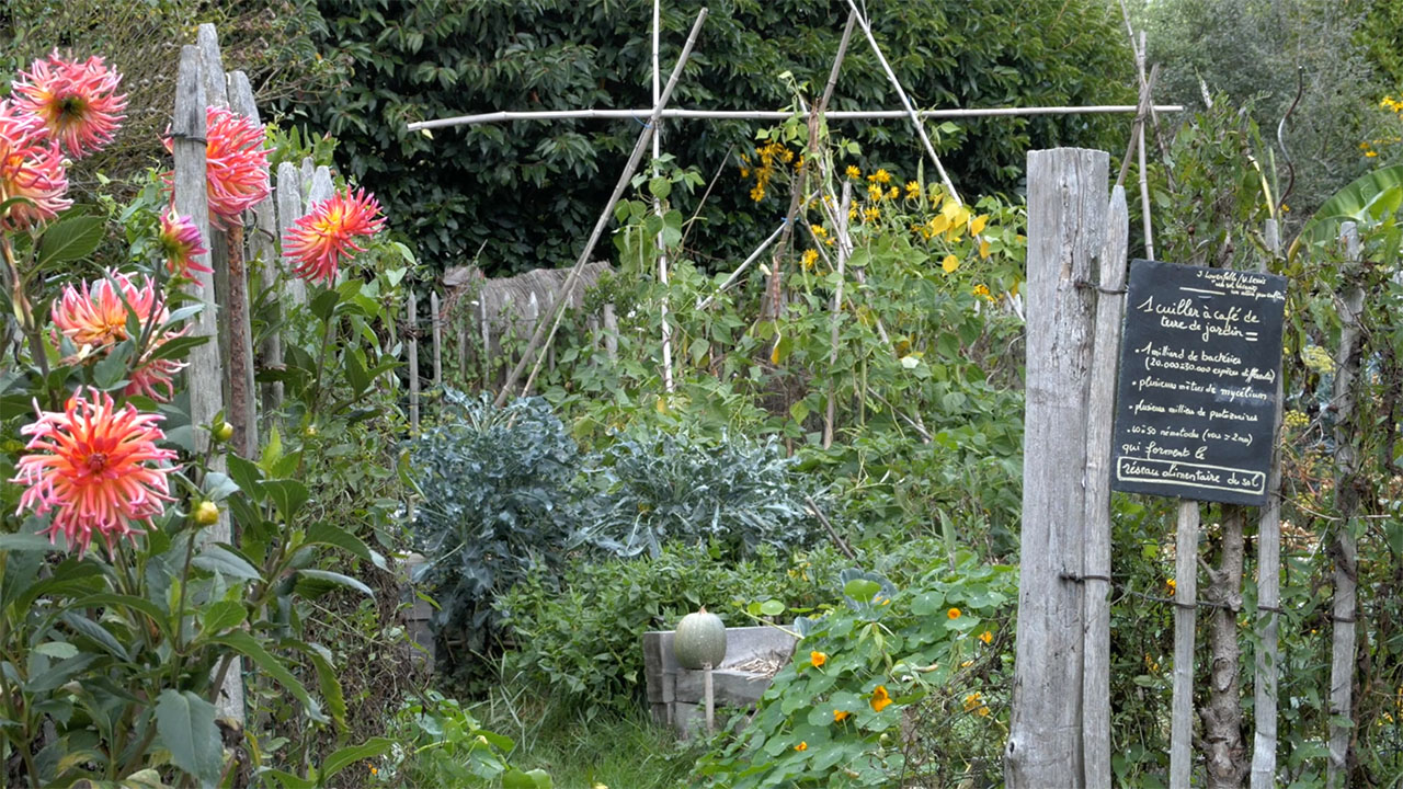 Creer-son-jardin-nourricier-06