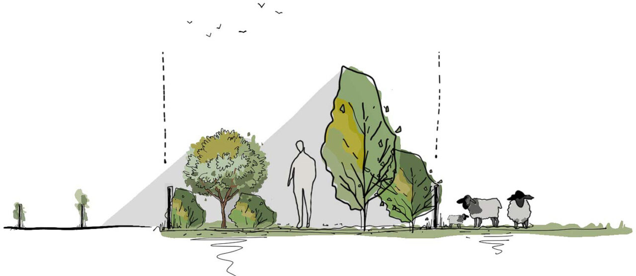 Schéma représentatif des strates d'un jardin-fôret en permaculture en France