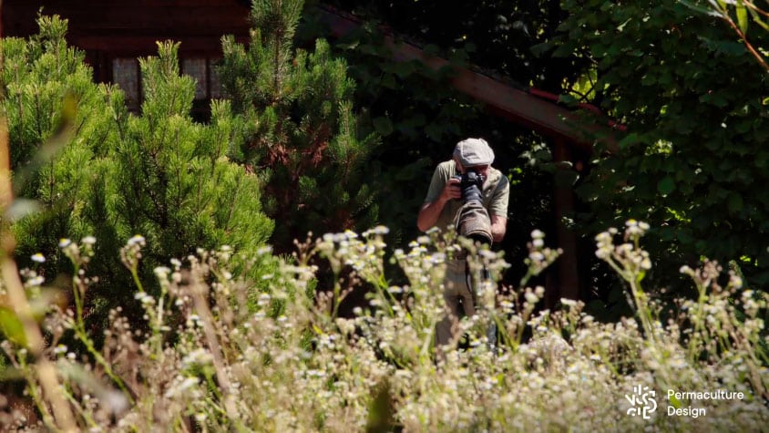 Gilles Leblais en train d’observer et photographier la vie sauvage dans son jardin en permaculture.