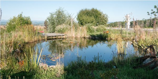 Article permaculture guide mare naturelle