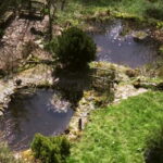 Mare naturelle dans jardin en permaculture