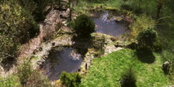 Mare naturelle dans jardin en permaculture