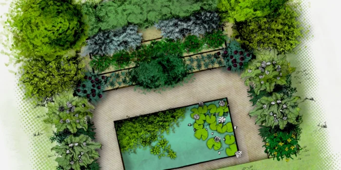 Illustration d'un petit potager de légumes perpétuels ou vivaces nourricière conçu en permaculture
