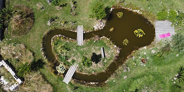 formation-stage-mare-naturelle-permaculture-design arboriculture fruitière pour créer son verger naturel pour un projet professionnel