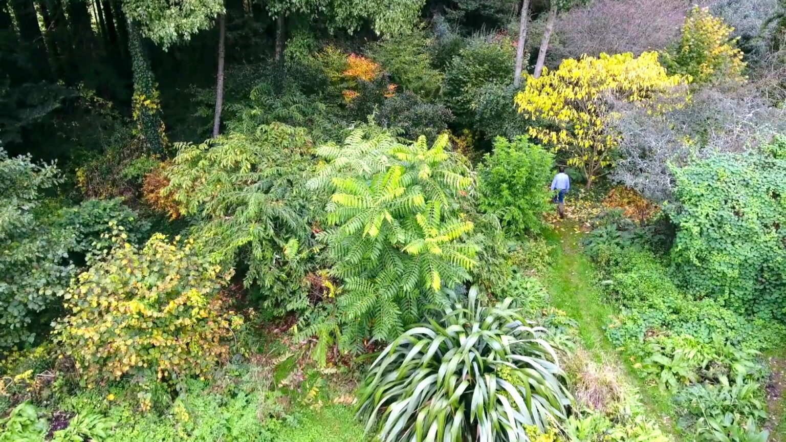 Découvrez comment faire un jardin en permaculture facilement