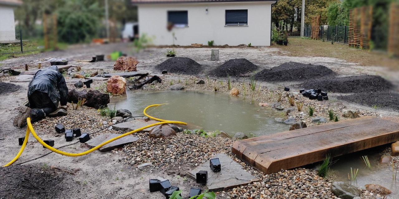 Créer une mare naturelle en permaculture.