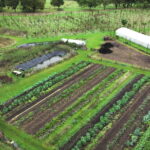 Maraîchage et verger naturel en permaculture.