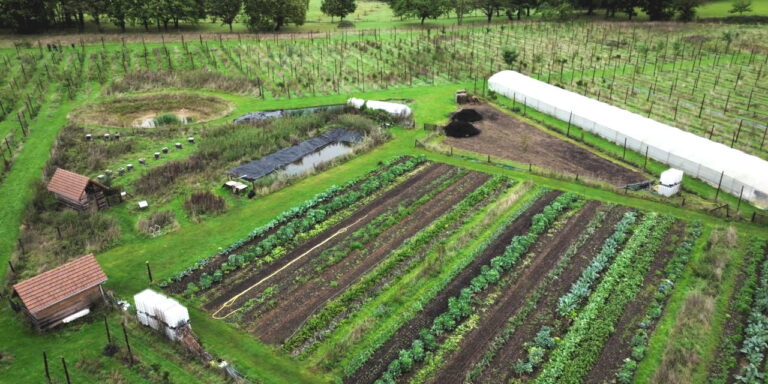 Maraîchage et verger naturel en permaculture.