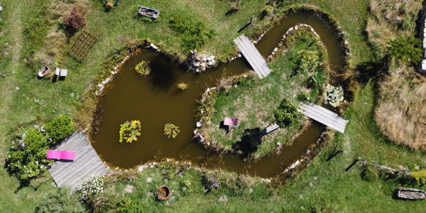 Formation permaculture mare naturelle