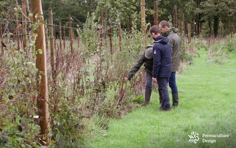 Visite d'un verger naturel.