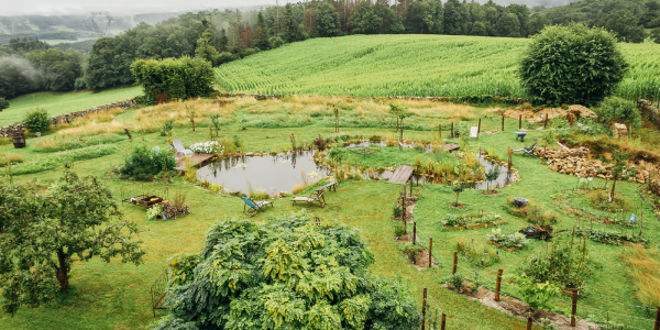 Formation permaculture pour créer son jardin.