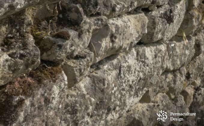Mur en pierres sèches pouvant servir d’abri pour les batraciens