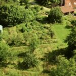 Photo jardin en permaculture avec son potager.