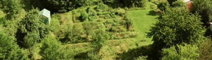 Photo jardin en permaculture avec son potager.
