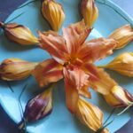 Hémérocalles fleurs comestibles farcies prêtes à être dégustées.