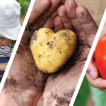 Les 3 éthiques de la permaculture