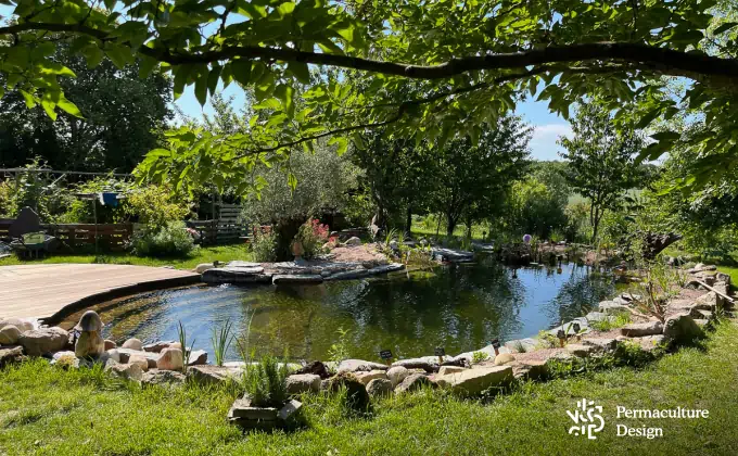 Piscine naturelle sur-mesure