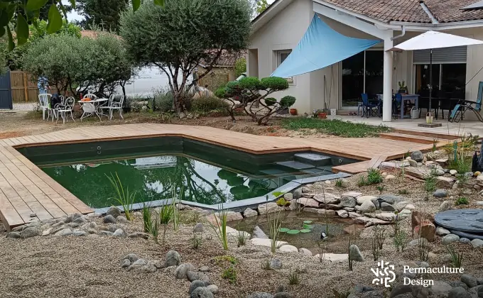 Piscine classique convertie en piscine naturelle
