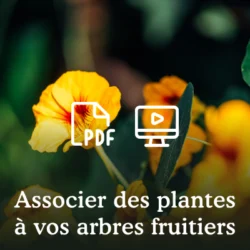 Les guildes autour des arbres fruitiers