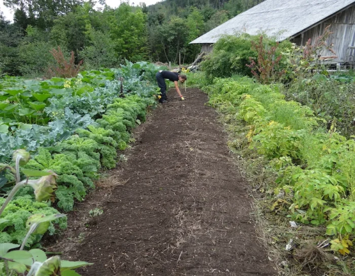 Formation permaculture