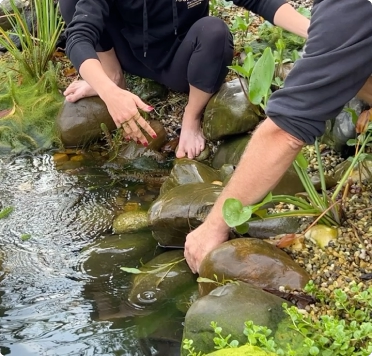 Formation permaculture mare naturelle.